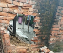 পাঁচবিবিতে আবারও সিঁধ কেটে কৃষকের গরু চুরি